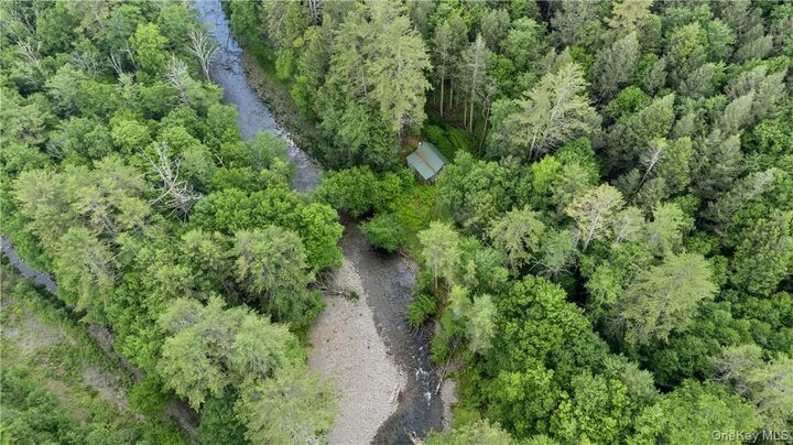 Property Photo: 56 Saw Mill Road NY 12725