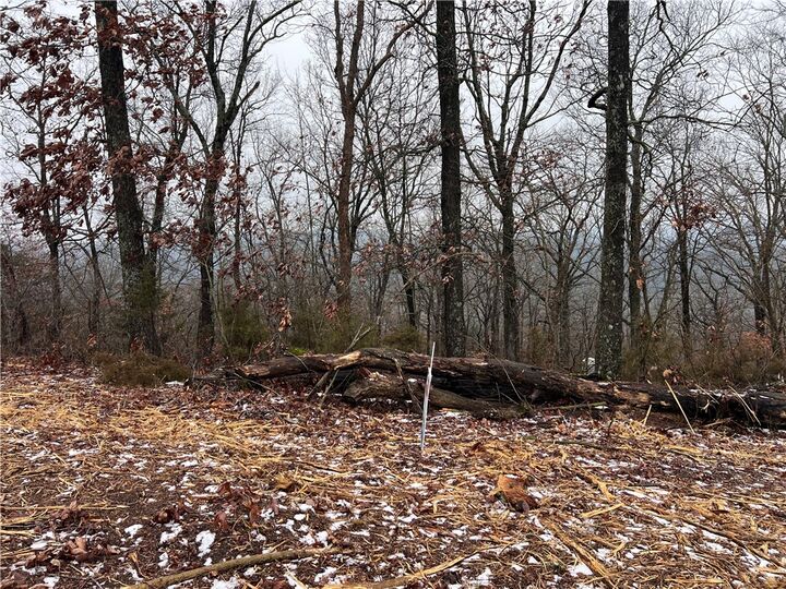 31 Skyview Lane  Holiday Island AR 72631 photo