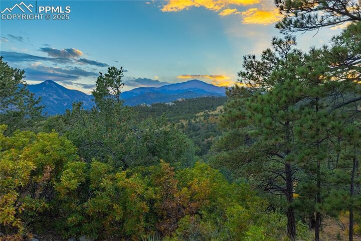Property Photo: 3760 Twisted Oak Circle CO 80904
