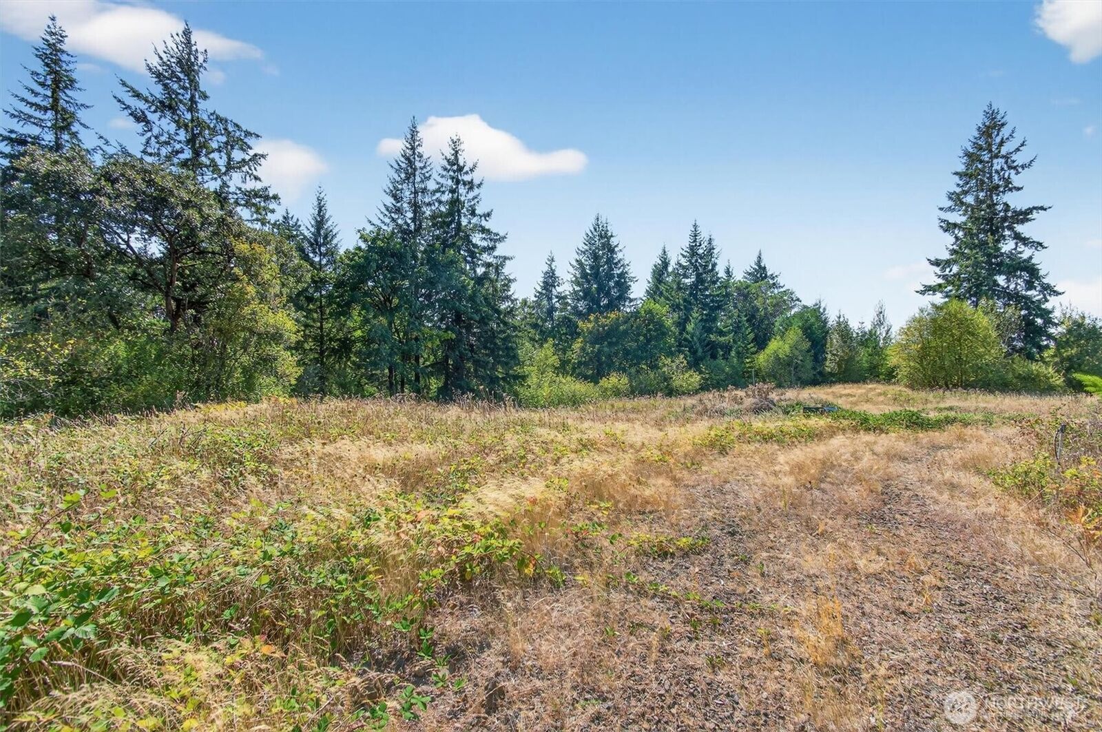 Property Photo:  308  Daves View Drive  WA 98625