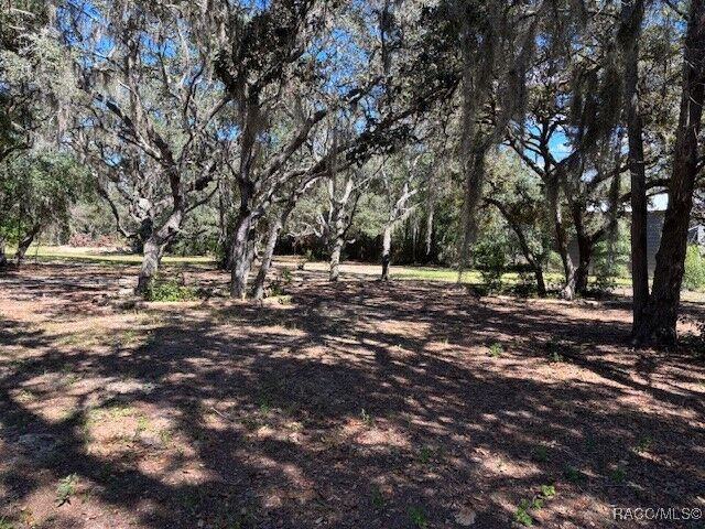 Property Photo:  819 E Wacker Street  FL 34442 