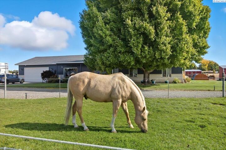 1117 Road 52  Pasco WA 99301 photo