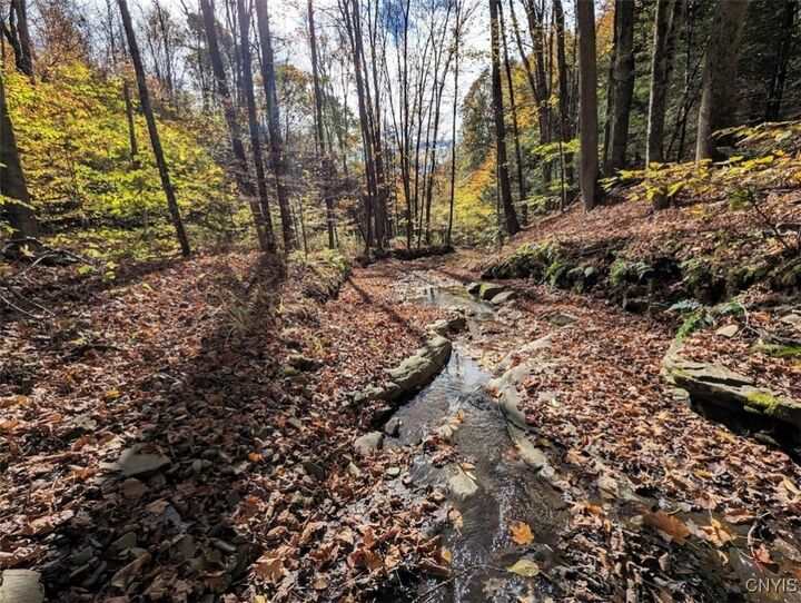Property Photo:  Akins Road N  NY 14826 