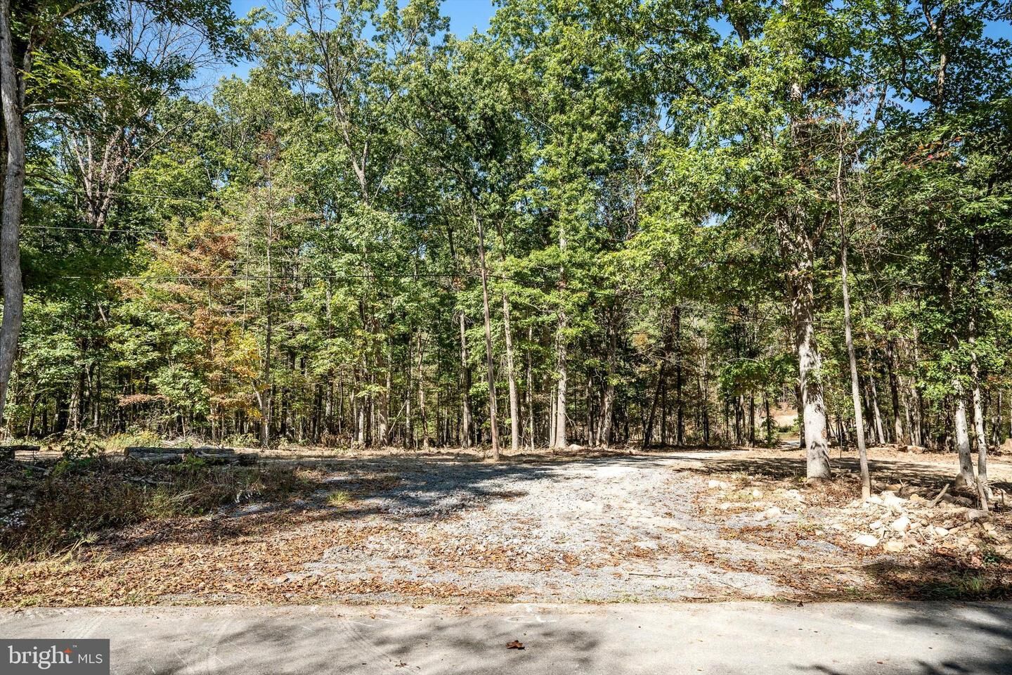 Property Photo: Lot 1 Back Creek Rd VA 22637
