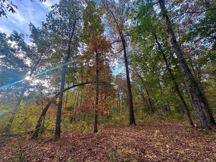 Property Photo: Lot 29 Goodwin Cove Lot 29, Goodwin Cove, Secluded Estates AR 72513