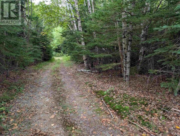 Property Photo: Lot 2 Highway 316 NS B0H 1J0
