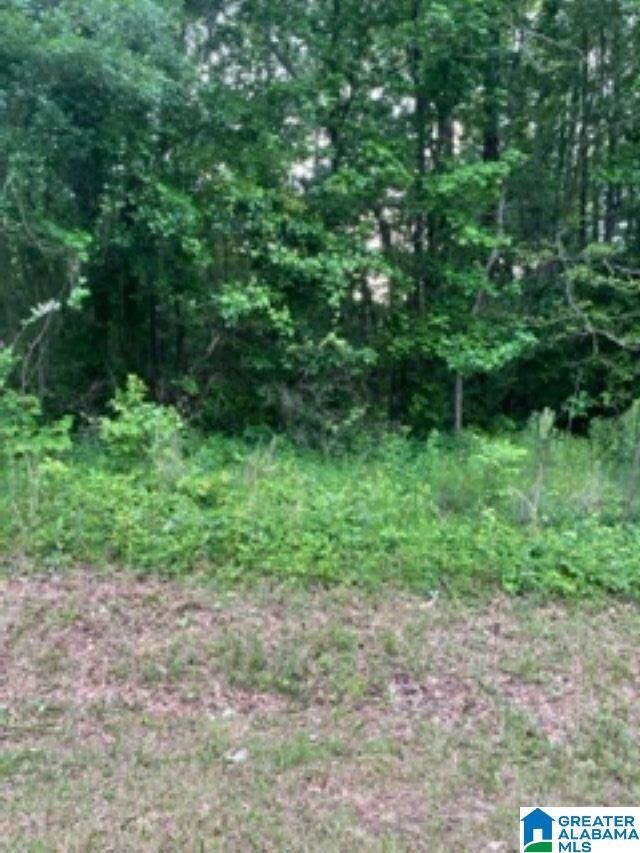 Property Photo: 2006 Peek Drive 4 AL 36203