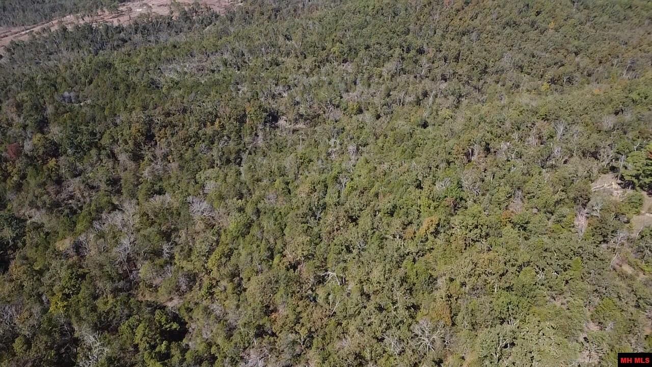 Property Photo:  009-02955-001 Owens Drive  AR 72653 