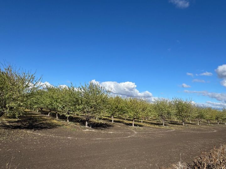 Property Photo: 0 Striplin Road CA 95668