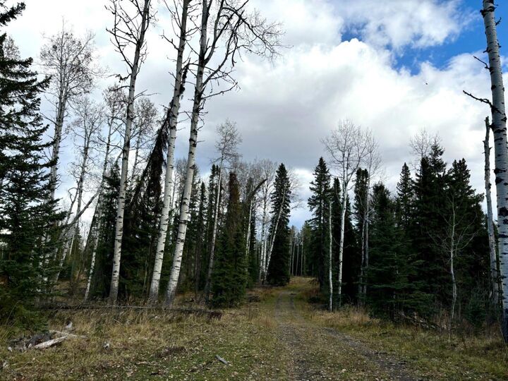 Property Photo: Range Road 72 32521 AB T0M 1X0