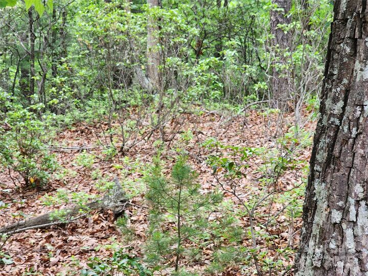 Tbd Sampson Road  Lenoir NC 28645 photo