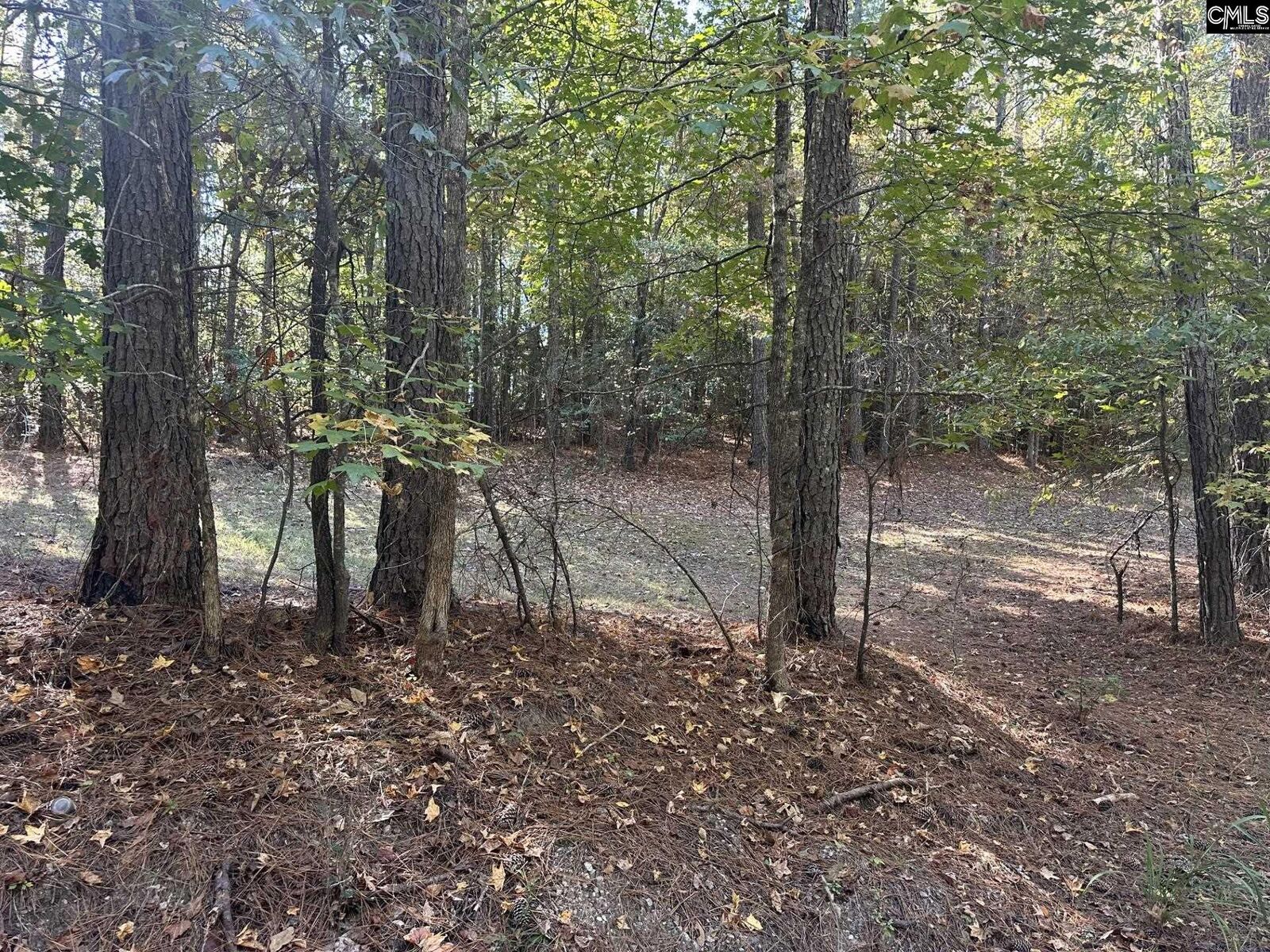 Property Photo: 00 Douglas SC 29126