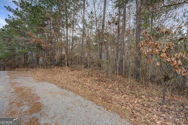 Property Photo: 0 Goldeneye Court Lot 90 GA 31064