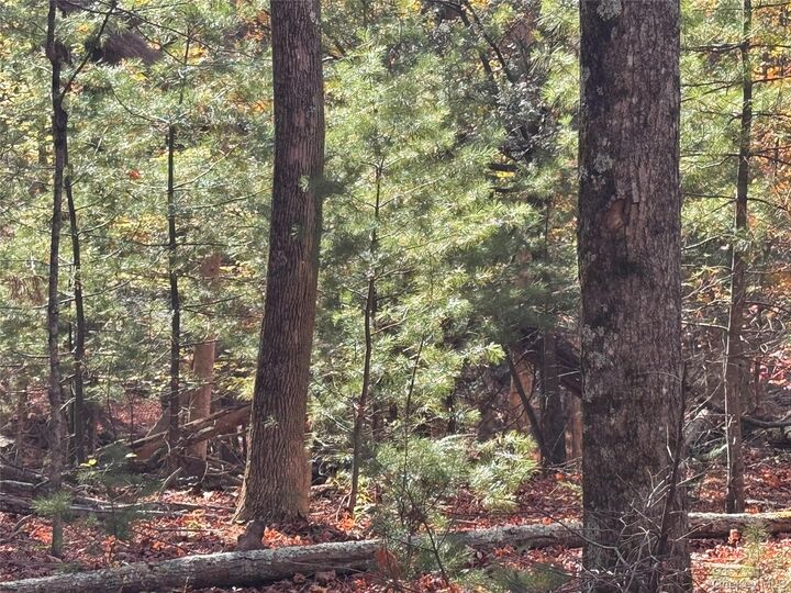 Property Photo:  Tbd Cross Patch Road  NY 12498