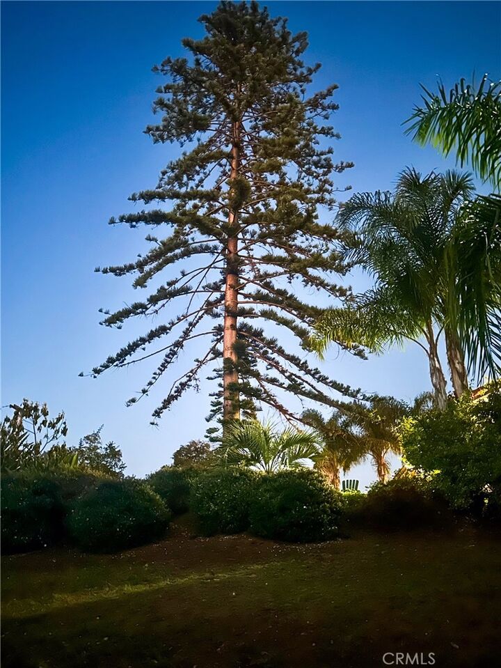 Property Photo: 1955 Friendly CA 92084