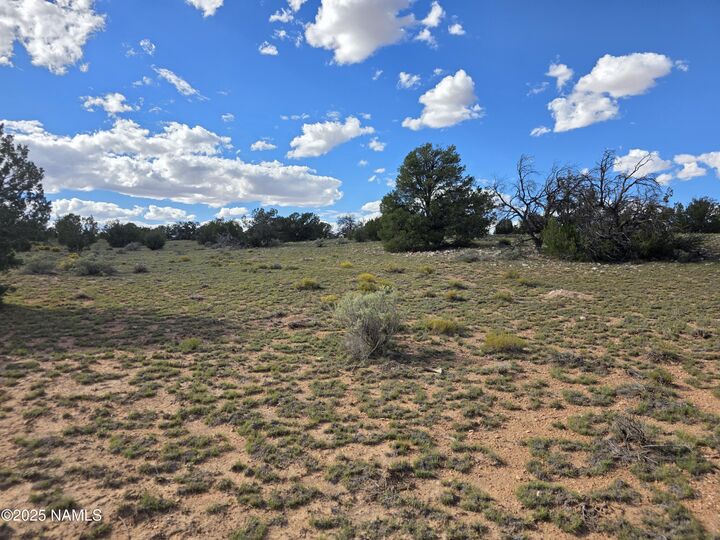 Property Photo:  6154 Fire Sky Trl Lot B  AZ 86046 