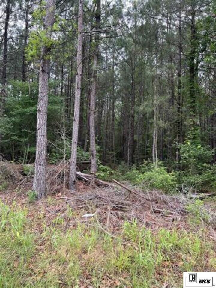 Property Photo: Lot 4 Berry Road LA 71435