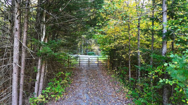 Property Photo: 468 Park Laughton Road VT 05346