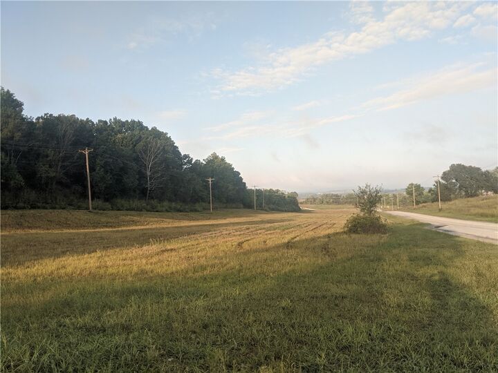 W Burls Way  Harrison AR 72601 photo