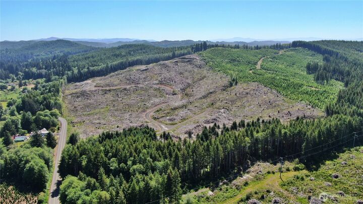 Property Photo: 0 Nka Smith Creek Road WA 98577