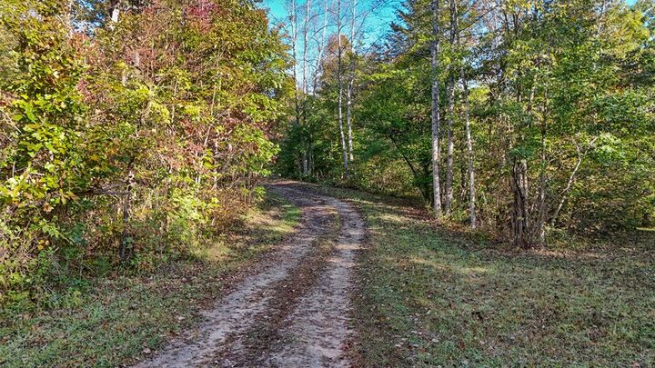 Property Photo: Allen Rosen Rd VA 23936
