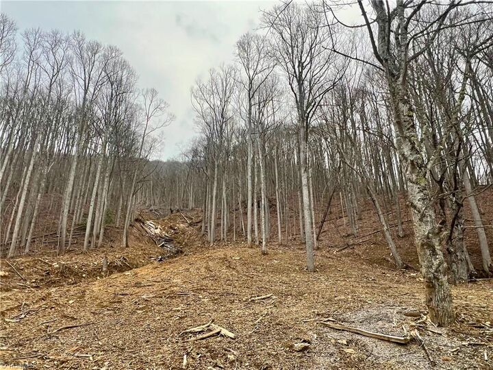 Property Photo: Tbd Creek Road NC 28607