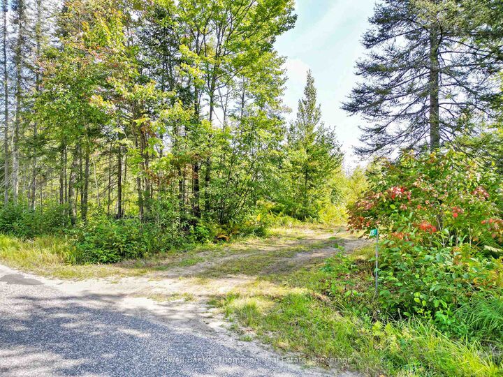 Photo de la propriété: 315 Scarlett Road ON P0A 1X0