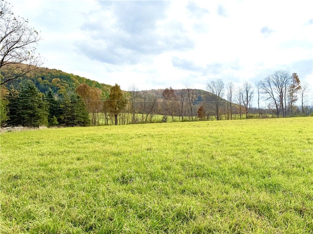 Property Photo: 0 White Church Road NY 14817