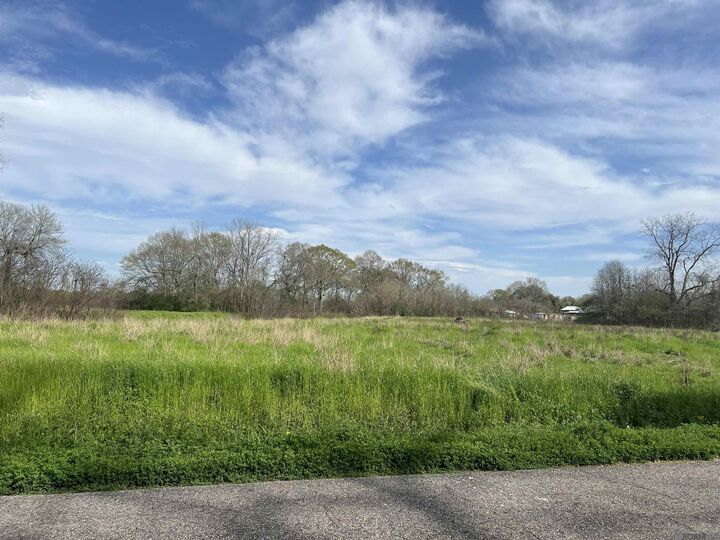 5232 Elm Grove Rd  Port Allen LA 70767 photo