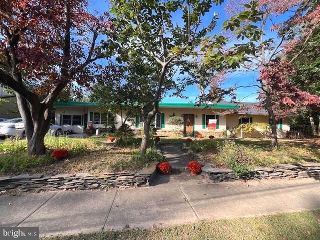 18 Monroe Drive  Hamilton NJ 08619 photo