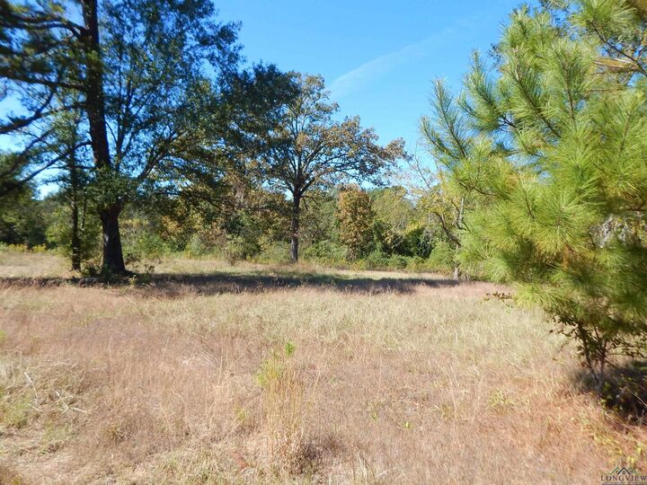 Property Photo: Tbd .5 Acre Hwy 155 TX 75644