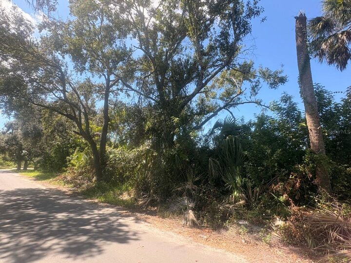 Property Photo:  2601 Goldwyn Drive  FL 33570