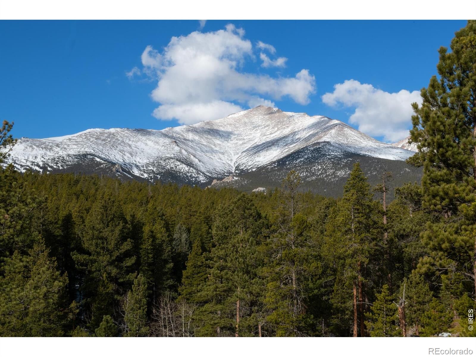 Property Photo: 1997 Big Owl Road CO 80510