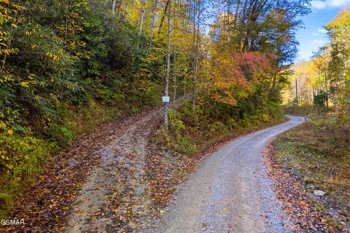 Property Photo: 5.37 Acres Reece Hollow TN 37727