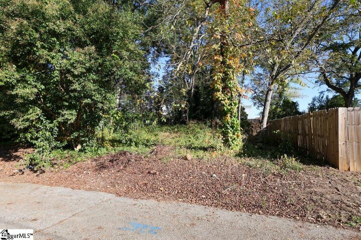 11 Trotter Alley  Greenville SC 29605 photo