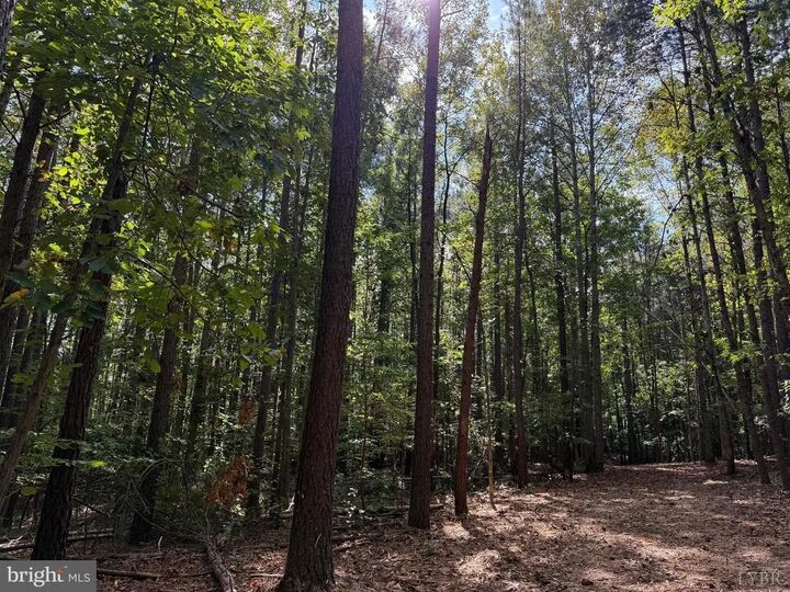 Property Photo:  0 Coleman Mountain Road  VA 24522