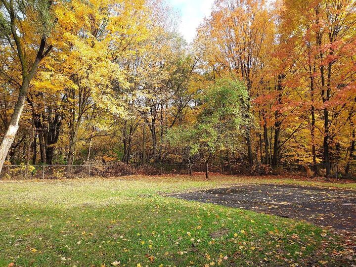 Property Photo:  12134 Charles Street  MI 49342
