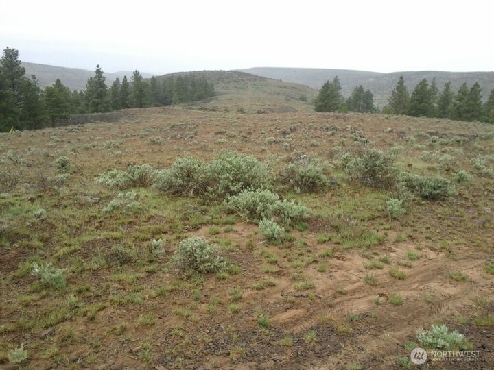 91  Hilltop Lane  Ellensburg WA 98926 photo