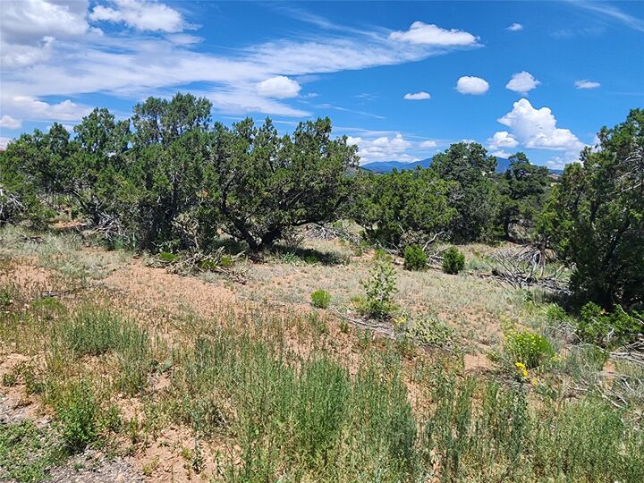 Property Photo: 12 Goathead Ct NM 87508