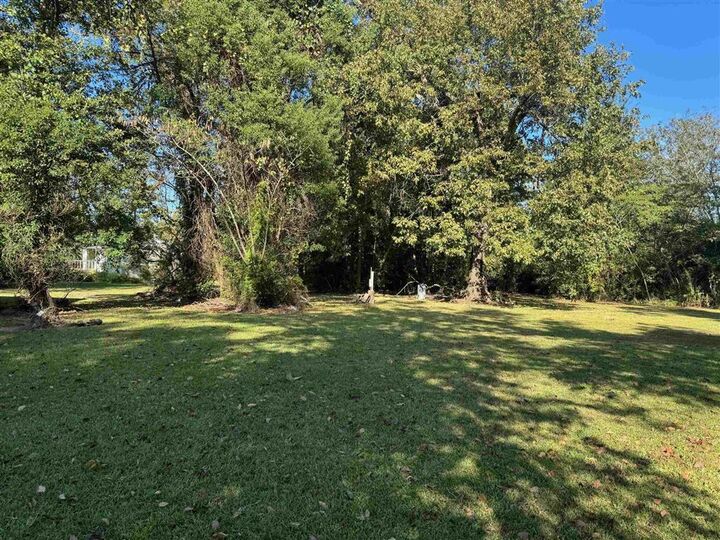 Property Photo:  125 Helen Street  LA 70669