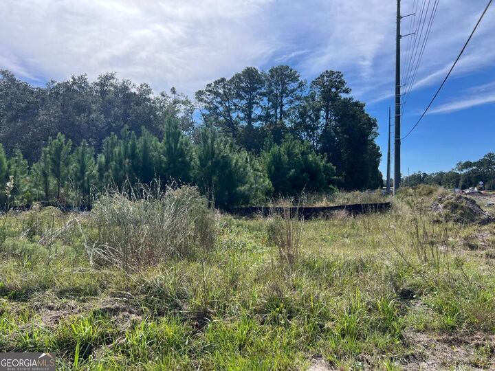 Property Photo:  116 Smith Road  GA 31522 