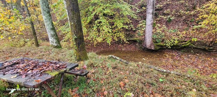 Property Photo: 1121 Breeding Road KY 42129