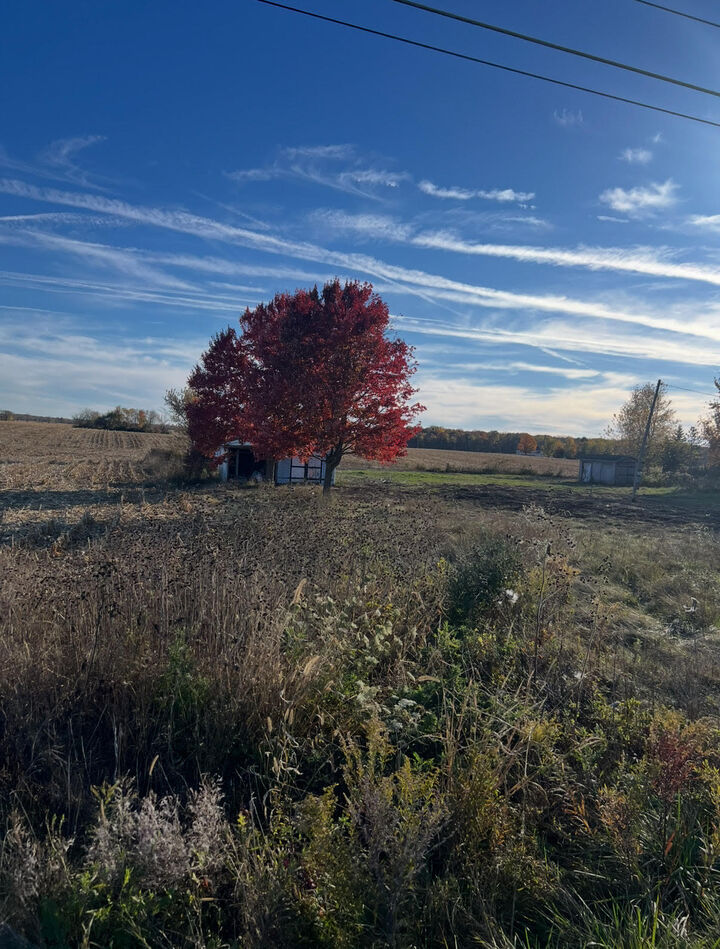 9917 Beecher Road  Clayton MI 49235 photo