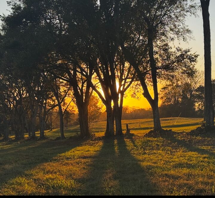 7924 Nolensville Rd  Arrington TN 37014 photo