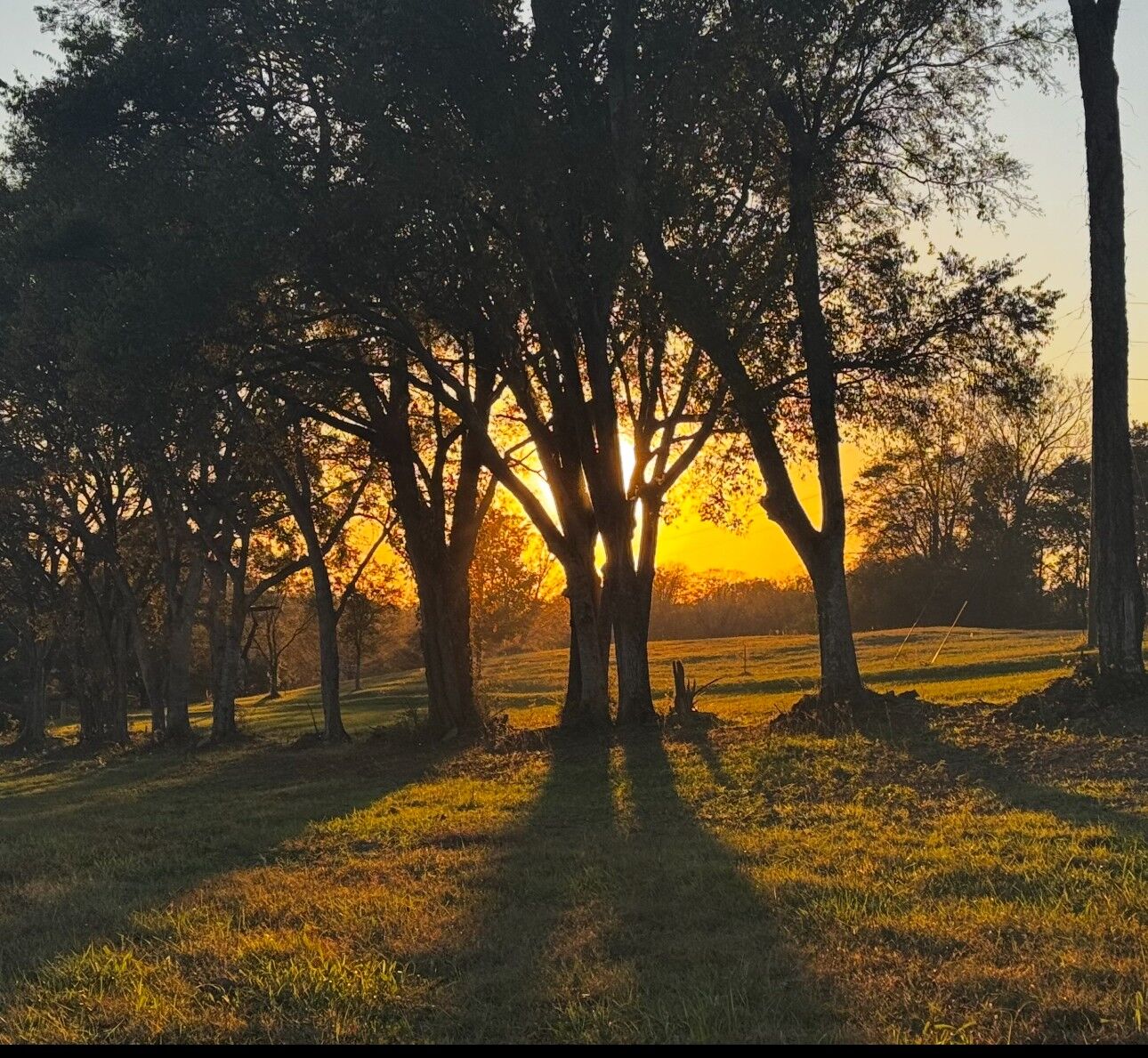 Property Photo:  7924 Nolensville Rd  TN 37014