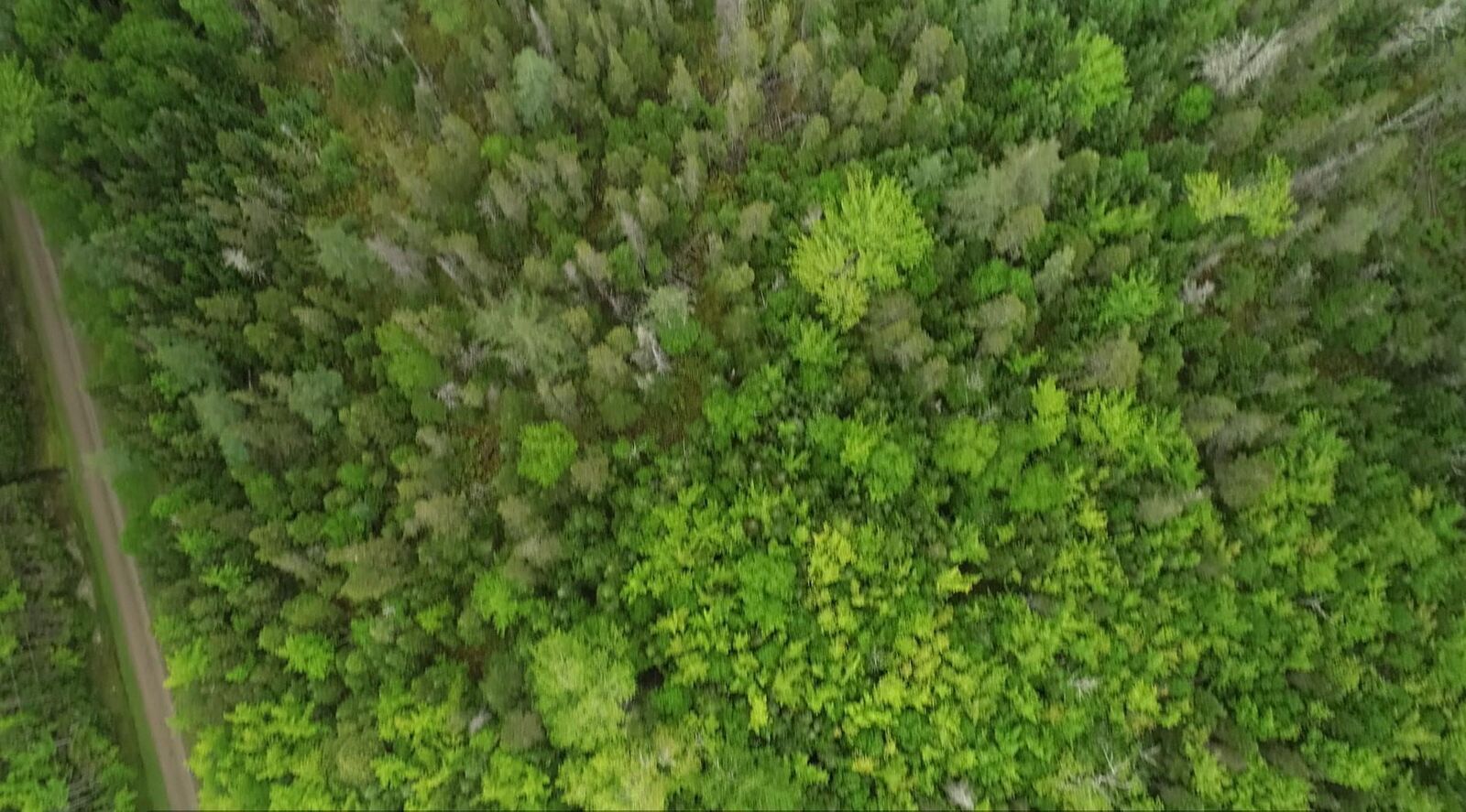 Property Photo:  41A Widow Point Loop  NS B0E 1N0 