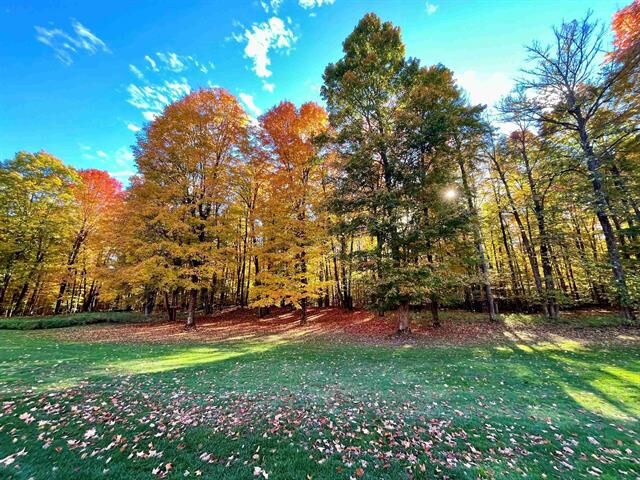 Property Photo:  V/L 82 Troon North  MI 49615