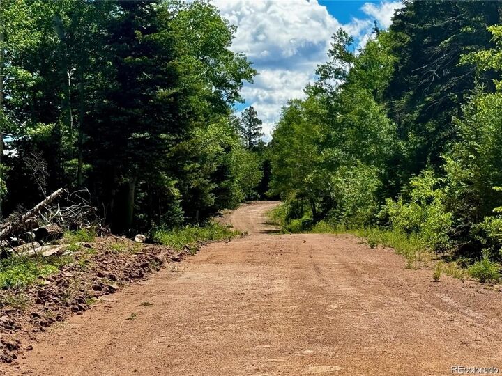 Property Photo:  2348 Benton Place  CO 81133 