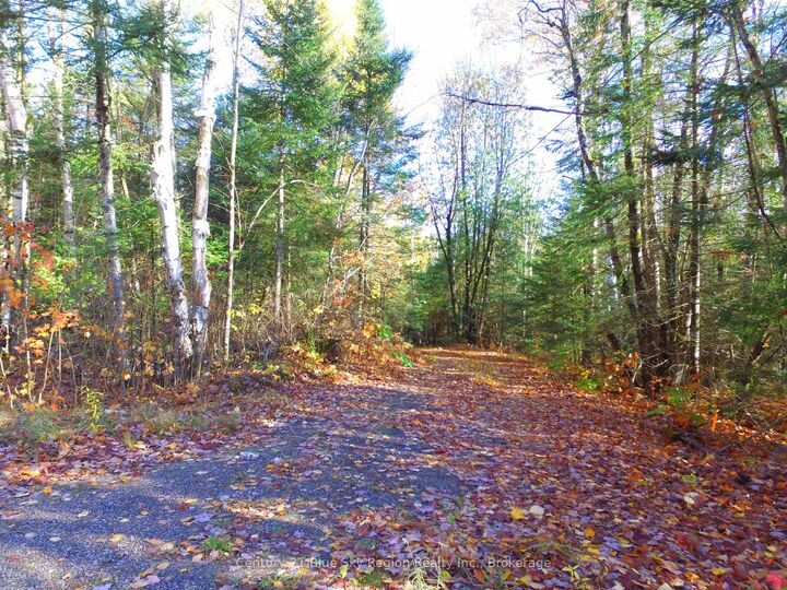 Pt Lt 2 Con 4 McFadden Line  Parry Sound Remote Area ON P0H 2L0 photo