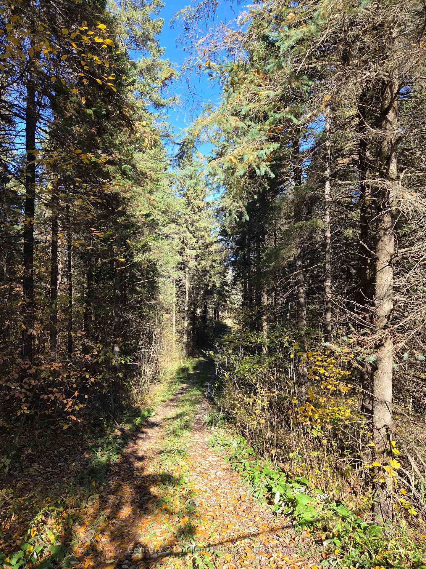 Property Photo:  627383 15 Side Road  ON L0N 1M0 